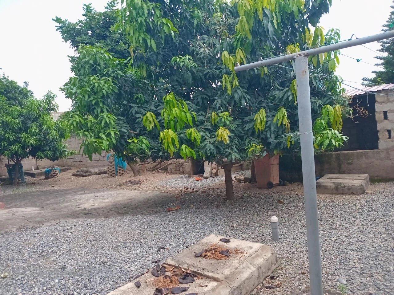 5 Bedroom House For Sale